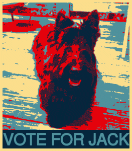 Vote-for-jack